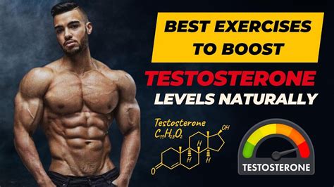 Best Exercises to boost Testosterone Level - YouTube