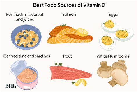 Vitamin D: Lợi Ích, Cách Bổ Sung Hiệu Quả Và Hướng Dẫn Sử Dụng
