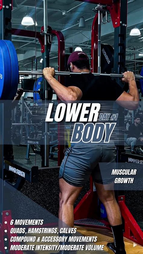 Create a custom workout plan by O_grfx | Fiverr