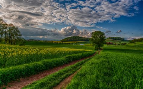 Beautiful Nature Wallpapers HD - WallpaperSafari