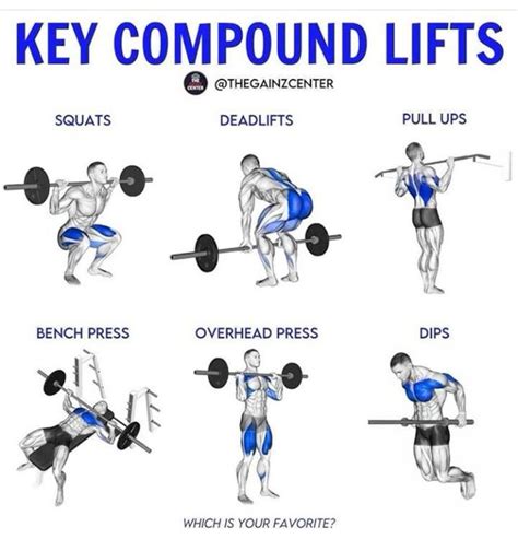 Compound exercise | Compound lifts, Weight lifting workouts, Strength ...