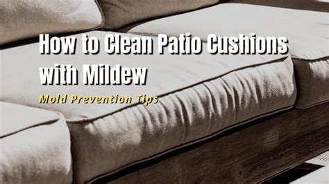 How to Clean Patio Cushions That Are Full of Mildew - The Backyard Pros