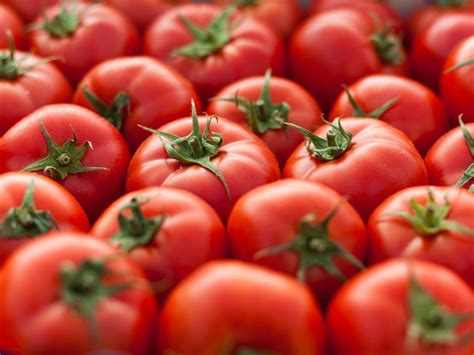 Growing Tomatoes - The Ultimate Guide To Growing Tomato Plants