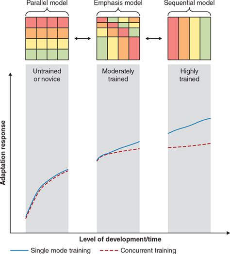 Selecting appropriate periodization models – Human Kinetics Canada