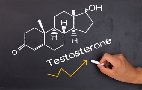 Effects of Excessive Testosterone | Just-Health.net