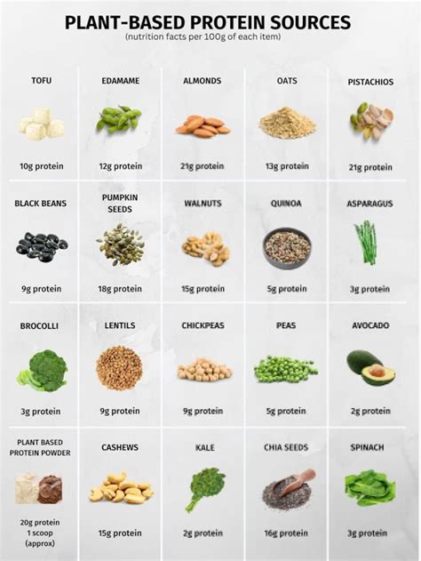 High Protein Foods Easily Digested at Eleonor Olson blog