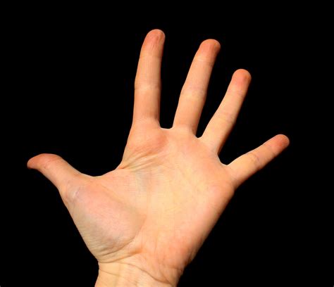 Hand Picture | Free Photograph | Photos Public Domain