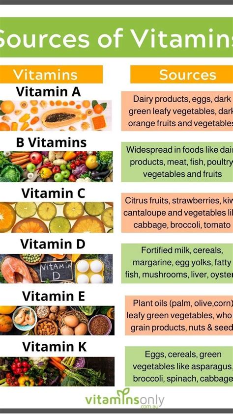 Guide to the benefits of vitamins a b c and d – Artofit