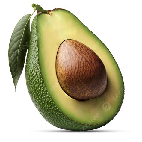 Avocado