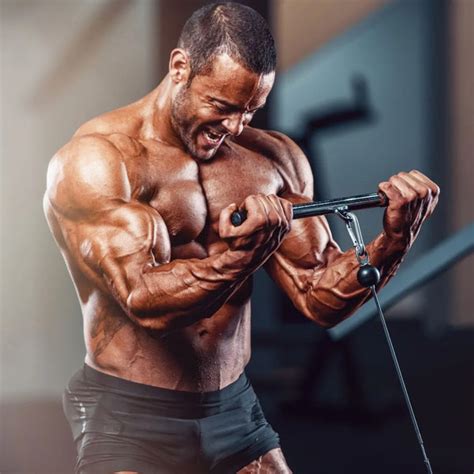 3-Day Split Workout Routine (Plus 2 Programs) - SET FOR SET