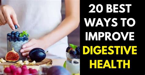 Daily steps for improving gut health & digestion?