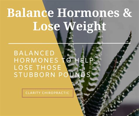 Top Strategies to Balance Hormones &amp; Lose Weight Effectively ...