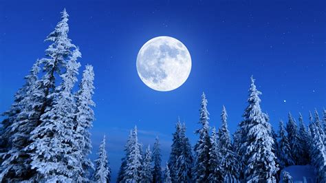 Moon Events This 2025 - Tyler M Howell