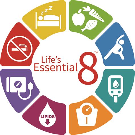Heart disease risk factors in women highlight need for increased ...