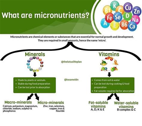 Micronutrients are chemical elements or substances that are essential ...