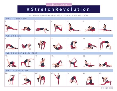 Swirlster First: Daily Stretches For Flexibility
