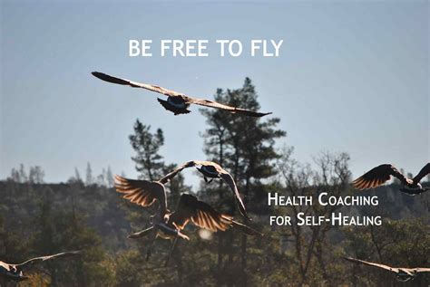 Holistic Health: Definition &amp; Approach. Free Intro Class.