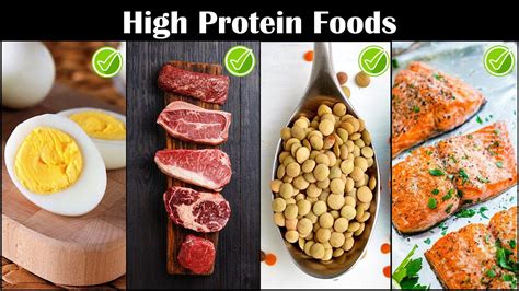 Highest Protein Foods |Foods Rich In Protein |Best Protein Rich Foods On The Planet - YouTube