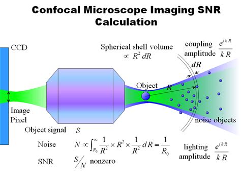 optics - Microscopy types and techniques? - Physics Stack Exchange