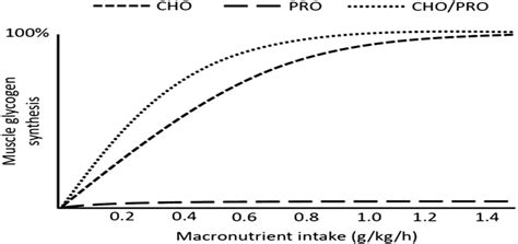 What optimal nutrition fuels sustained energy, sharp focus, and rapid muscle recovery?