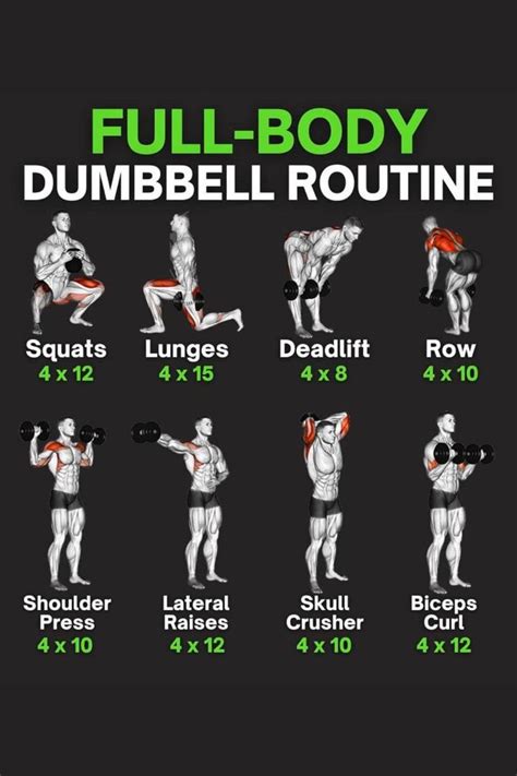 Fullbody dumbell workout | Full body dumbbell workout, Dumbell workout ...