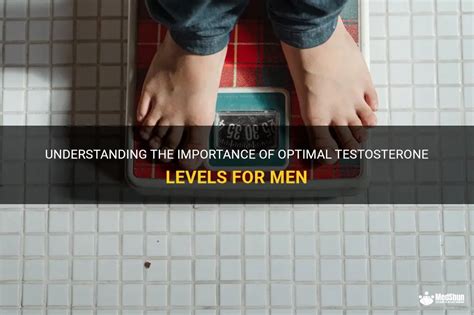 What specific role do healthy fats, particularly monounsaturated and polyunsaturated fats, play in supporting optimal testosterone levels in men?