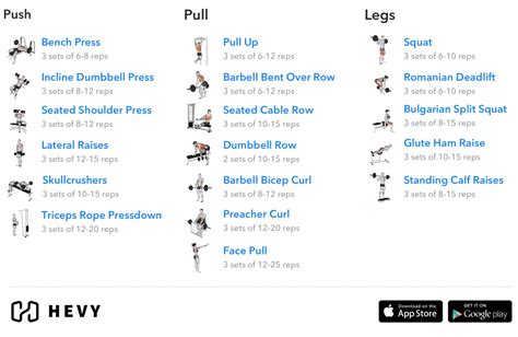 Push Pull Legs (PPL) Training Split - Ultimate Guide with Routines ...