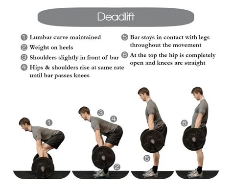 Learn proper Deadlift form to build strength through our animated gif ...