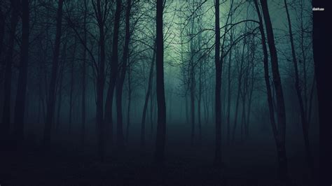 Dark forest | Floresta escura, Papel de parede floresta, Papel de ...