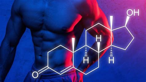 Testosterone: A Simple, In-Depth Guide