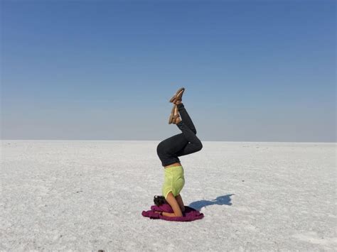 A holistic approach to well-being/ fitness | Upwork