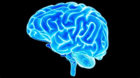 Your Amazing Brain | National Geographic Kids