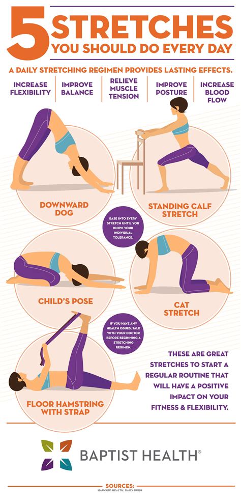 Flexibility Stretches