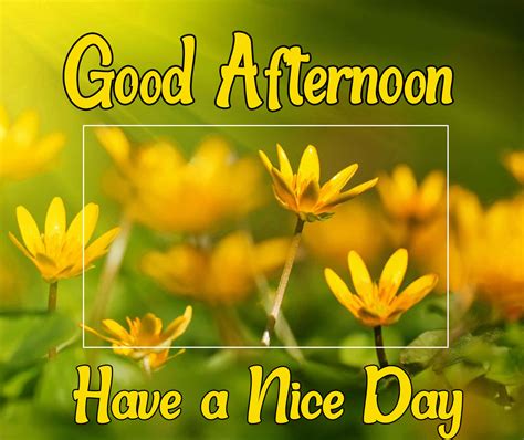 Download Good Afternoon Nice Day Picture | Wallpapers.com