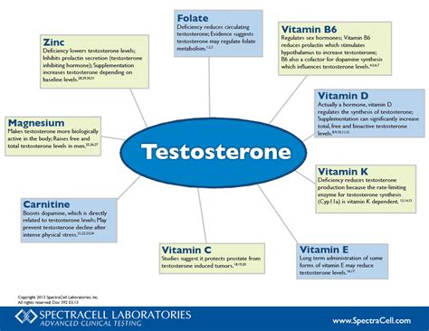 What micronutrient is often discussed for its role in supporting healthy testosterone levels in men?