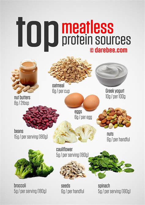 Top Vegetarian Protein Sources