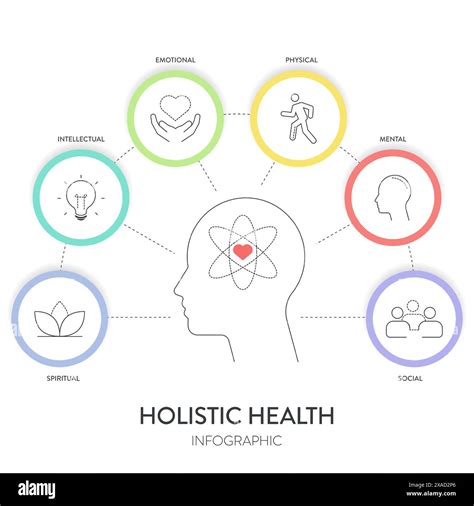 Holistic Health framework infographic diagram chart illustration banner ...
