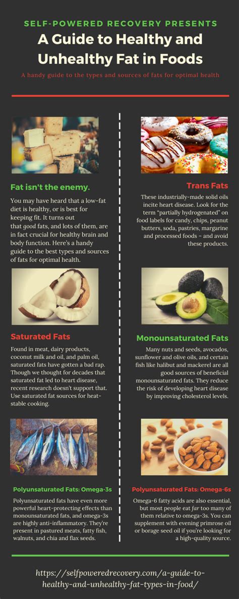 A Guide to Healthy And Unhealthy Fat Types in Food - Self-Powered Recovery