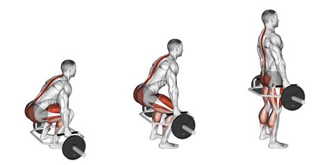 8 Best Types of Deadlift Variations (with Pictures!) - Inspire US