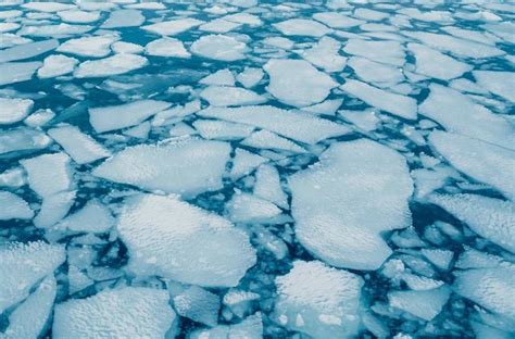 Choosing performance gear: what essentials truly boost daily output and recovery?