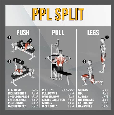 Push Pull Leg Workout Routine