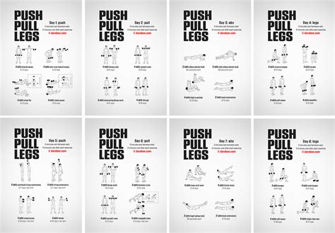 Push Pull Legs (PPL) Training Split Ultimate Guide With, 41% OFF