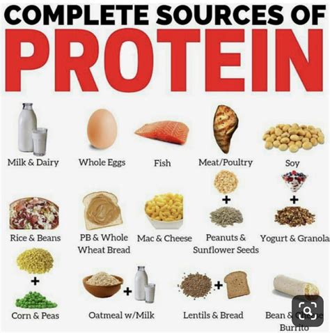 Protein Food List