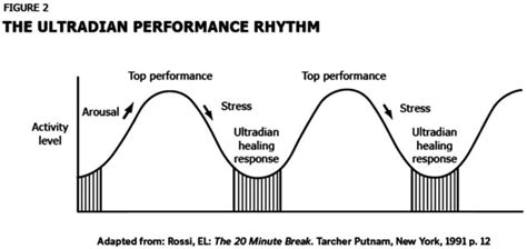 How to optimize recovery for peak energy & daily performance?