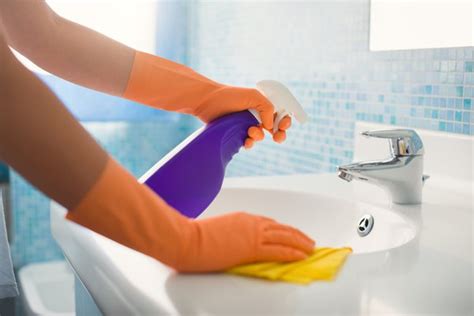 Clean in Spanish | English to Spanish Translation - SpanishDictionary.com