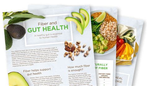 Facts About Fiber and Gut Health - Love One Today®