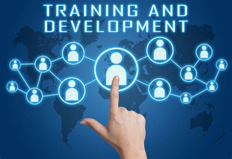 How to Plan Training and Development Program Optimally | HR Management ...