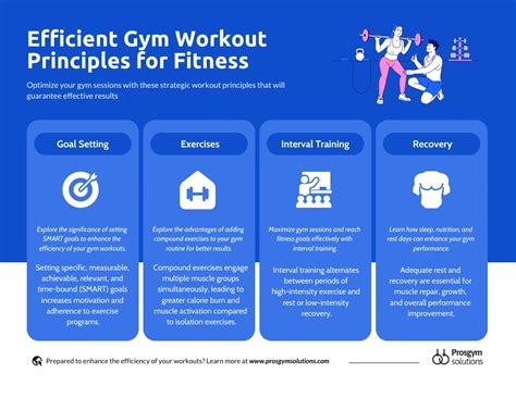 Efficient Gym Workout Principles for Fitness Infographic - Venngage