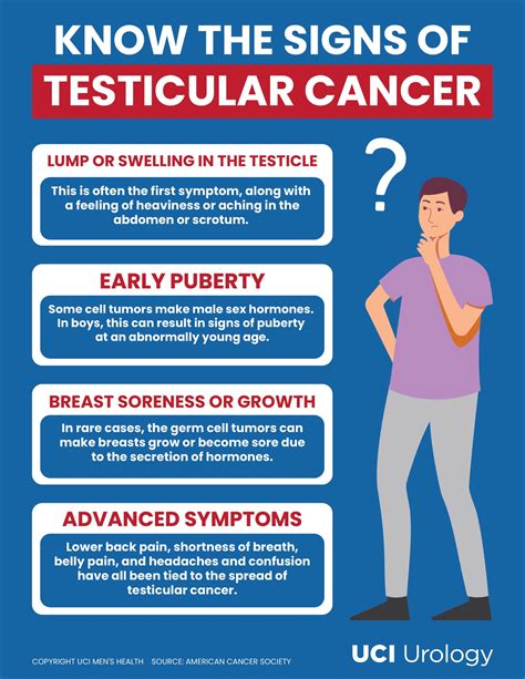 Testicular Cancer Signs And Symptoms Diagnosis Treatment | The Best Porn Website