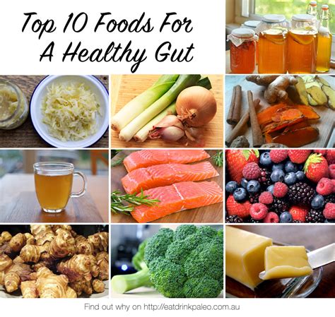 Top Healthy Gut Foods For Health &amp; Wellbeing